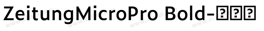 ZeitungMicroPro Bold字体转换